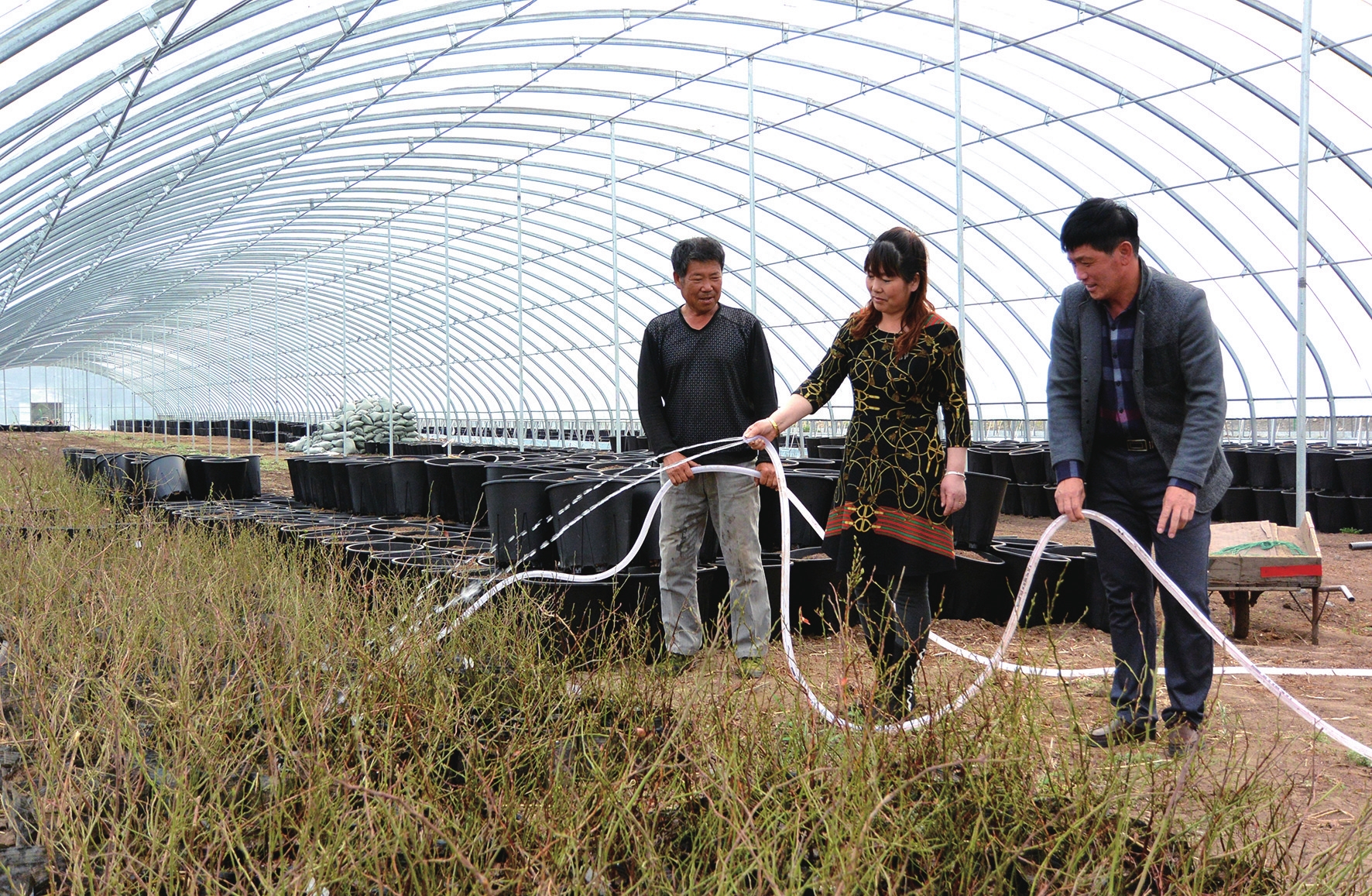 執“綠色”巨筆 繪生態畫卷——白山市建設中國綠色有機谷·長白山森林食藥城素描