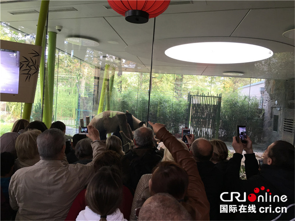 图片默认标题_fororder_IMG_2527