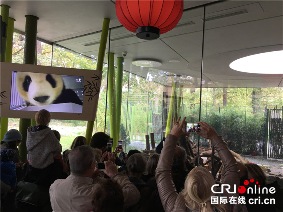 图片默认标题_fororder_IMG_2526