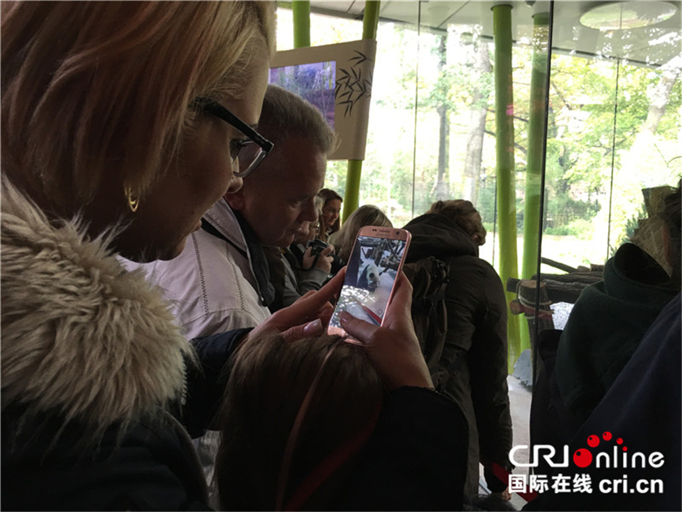 图片默认标题_fororder_一位德国妈妈给孩子看拍到的熊猫照片