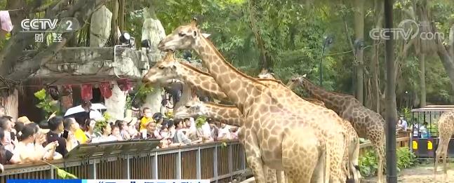 “五一”假日小账本 | 亲子游热度攀升 “舍得花”成全家出行新标签