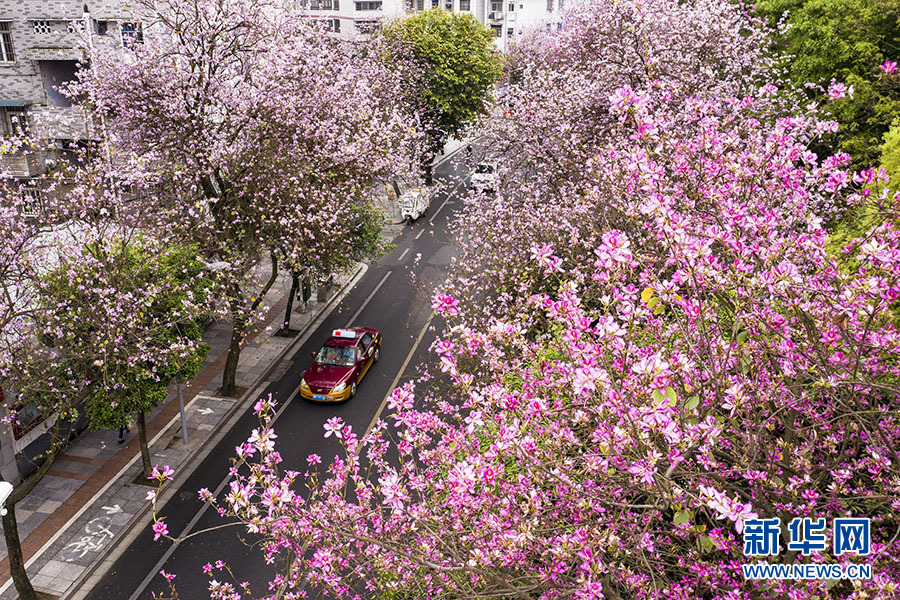 “酸雨之都” 变身“宜居花城”——一座西部工业城市的华丽嬗变