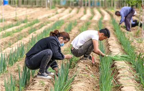 Kawili-wiling paniniwala, kagawian at pagkain sa panahon ng  Li Xia – ang Simula ng Tag-init_fororder_VCG111328439694