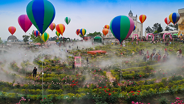 “五一”假期 不文明行为让风景不完美_fororder_1玫瑰花景区（摄影-赵丽）