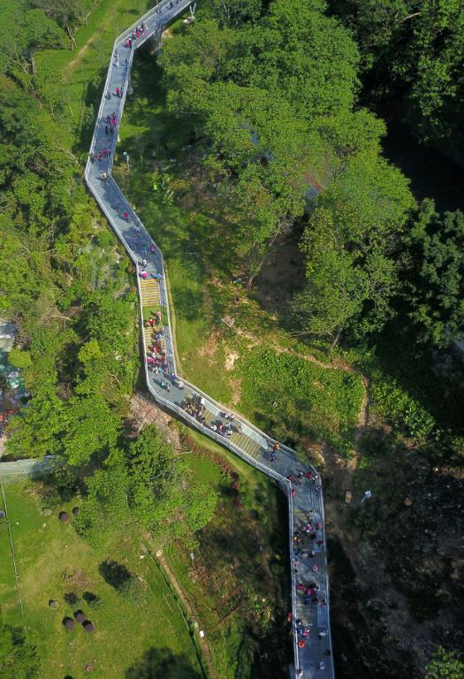 广州“镜”是这么绿：串珠成链 锦绣千里