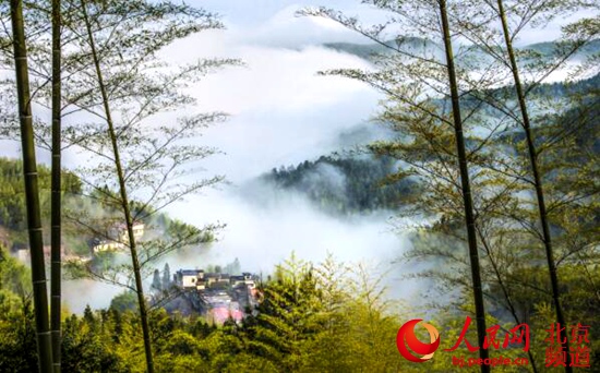 走進“竹世界” 北京世園會迎來國際竹藤組織榮譽日