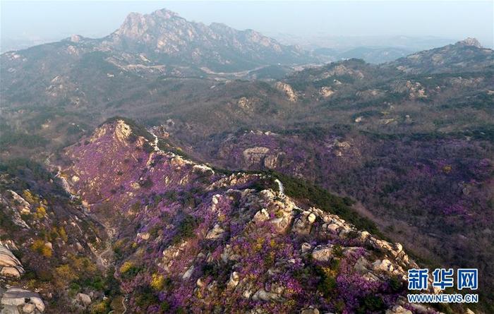 图片默认标题_fororder_1125824524_15862657121311n