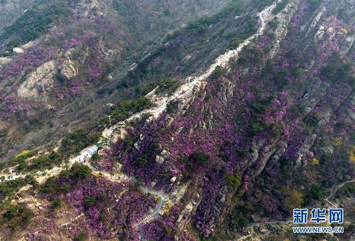 图片默认标题_fororder_1125824524_15862657121801n