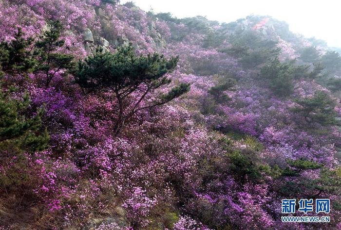 图片默认标题_fororder_1125824524_15862657120701n