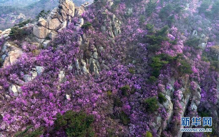 图片默认标题_fororder_1125824524_15862657122351n