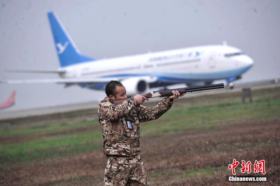 重慶機場持槍“驅鳥人” 保旅客春運出行平安