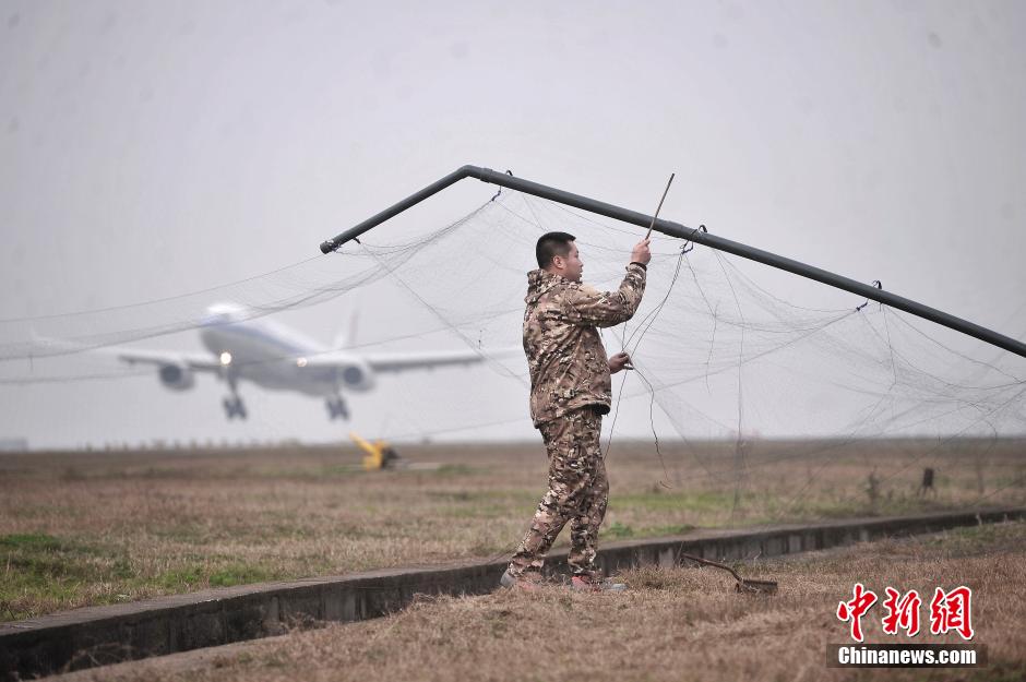 重庆机场持枪“驱鸟人” 保旅客春运出行平安