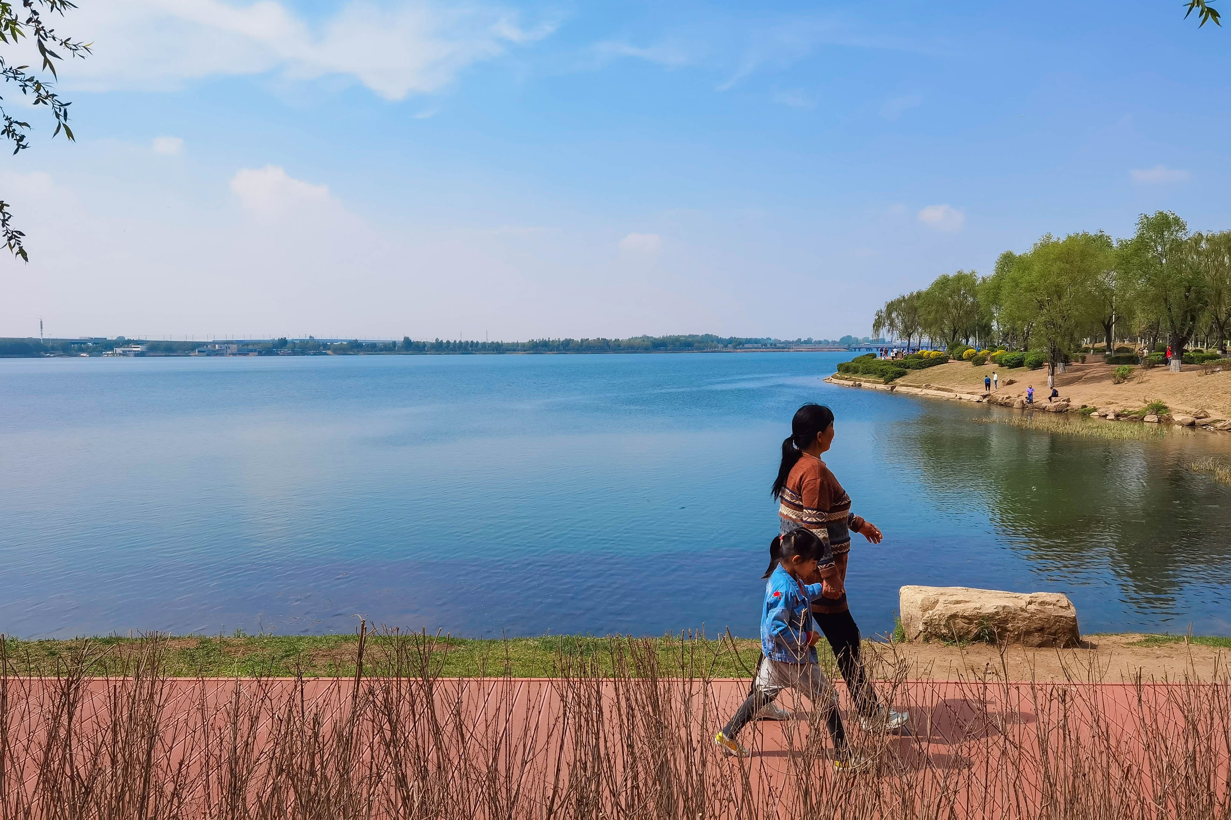 沈阳：五月伊始 踏春丁香湖_fororder_丁香1