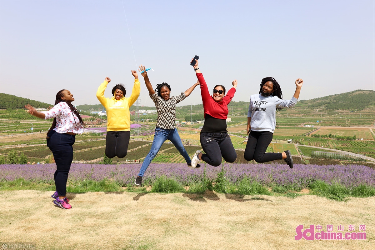 手制鲜花饼 流连芳菲丛 外国友人打卡“中国玫瑰之都”