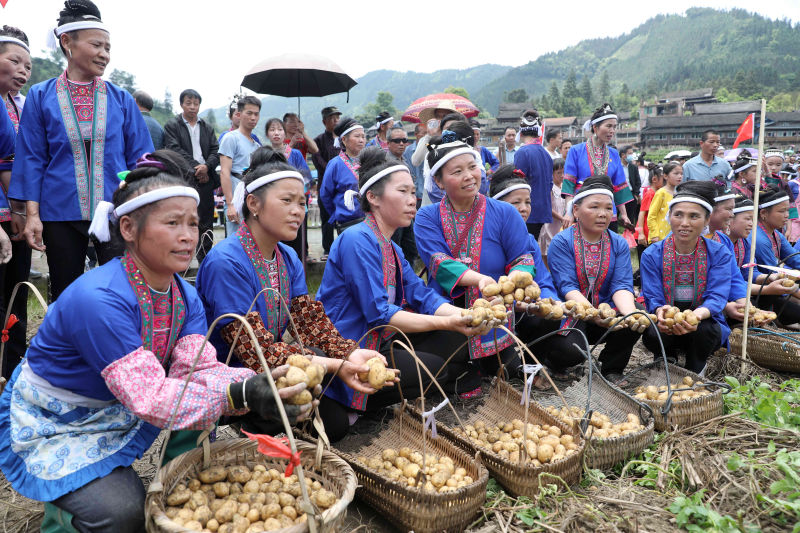 廣西：侗寨歡慶土豆節