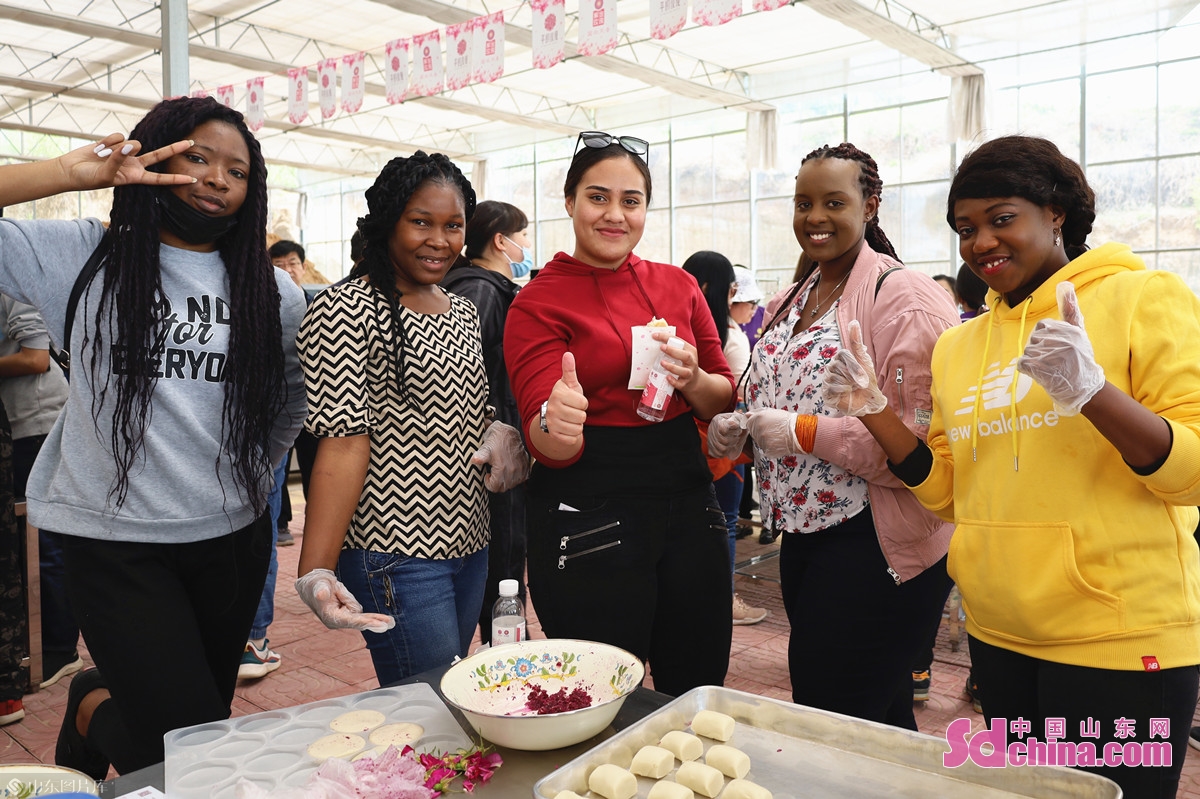手制鲜花饼 流连芳菲丛 外国友人打卡“中国玫瑰之都”