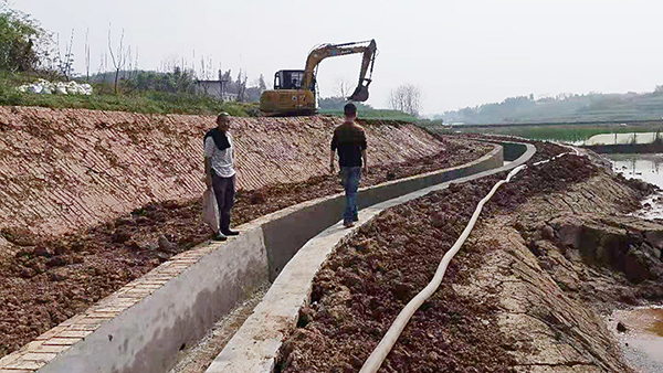 自贡沿滩：高标准农田建设推进农业现代化腾飞_fororder_高标准农田建设现场