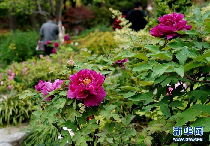 图片默认标题_fororder_22