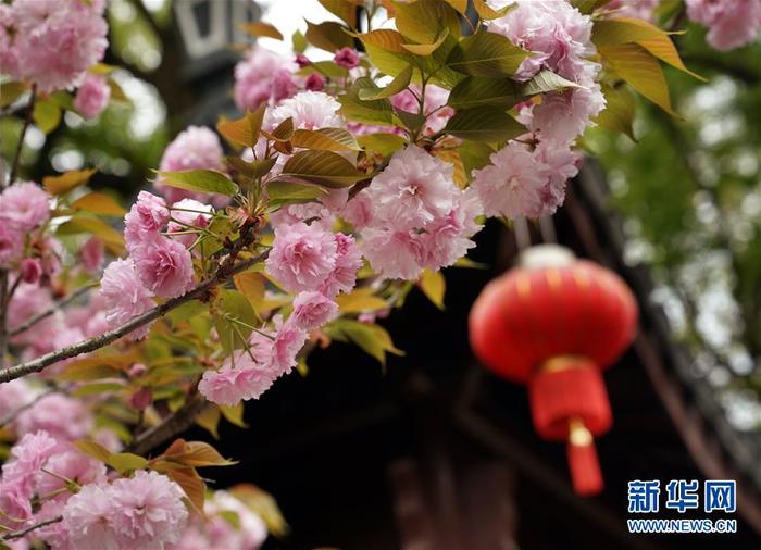 图片默认标题_fororder_33