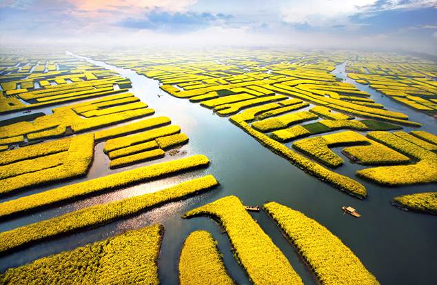 图片默认标题_fororder_1125821704_15862277066531n