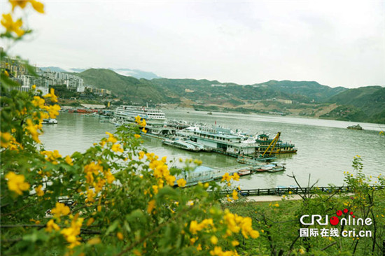 已过审【行游巴渝＋摘要】三峡蓄水175米 重庆巫山景区码头移位保安全