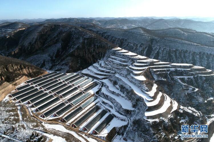 寶塔山的見證——探尋中國共産黨的延安歲月