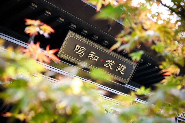 建发房产布局佛山，和鸣东方、敬呈人居