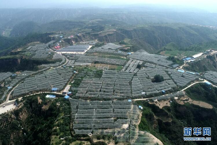 寶塔山的見證——探尋中國共産黨的延安歲月