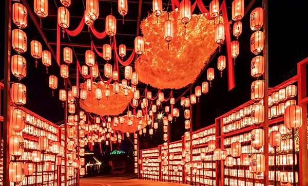 自贡大安：自贡灯会升级绽放 常态化办展出新出彩出圈_fororder_5自贡国际恐龙灯会现场