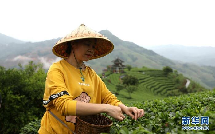 광서삼강: "5.1"연휴를 맞아 향촌 관광 붐 일어_fororder_2021-0505-2