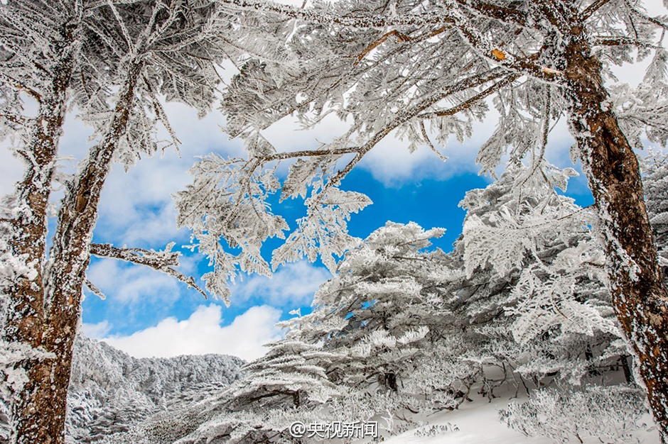 大理苍山雪景看醉游人  似冰封“水晶世界”