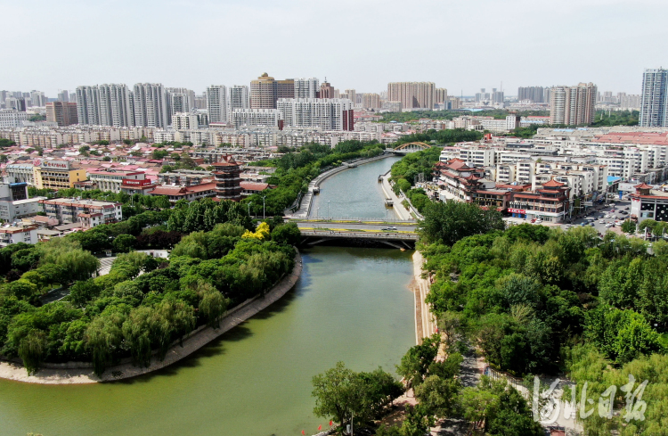 河北沧州：生机勃勃大运河