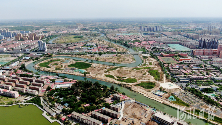 河北沧州：生机勃勃大运河