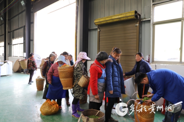 （中首）贵州全力冲刺农产品购销“开门红”