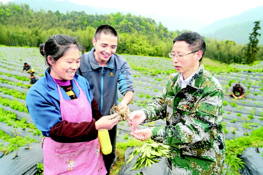 （大扶贫）贵州：产业革命 富了农家