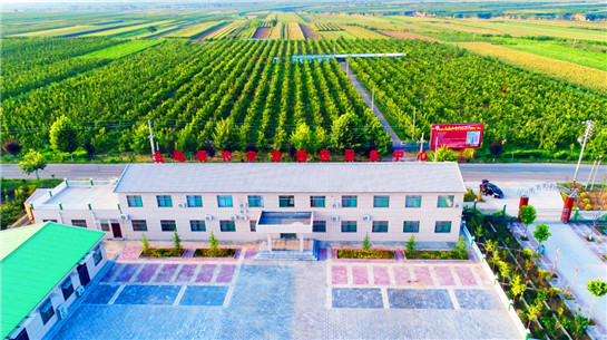 【OK】描绘现代农业新图景 陕西合阳县农产品年加工产值达15.8亿元人民币