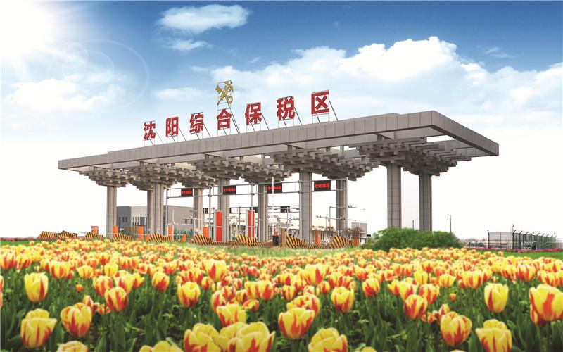 沈阳自贸片区主动融入新发展格局