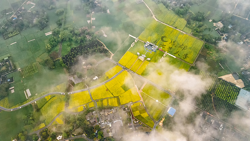 图片默认标题_fororder_IMG_5197 拷贝