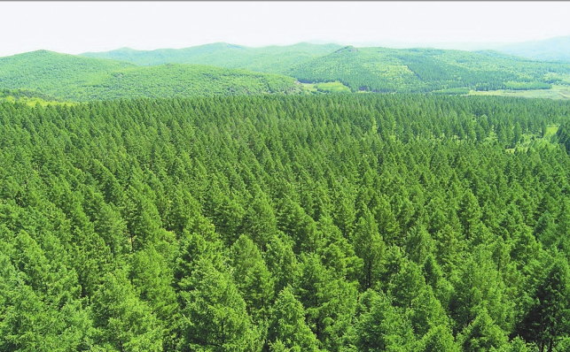 造一座青山赢一座“金山”