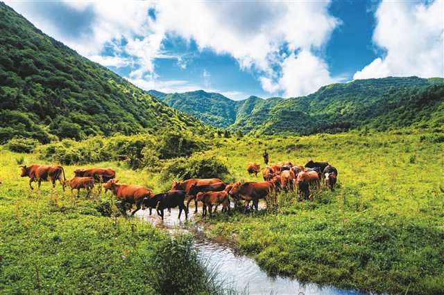 【焦点图】重庆丰都：名山名水 丰收之都