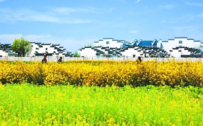 武漢：5年內打造六大山水田園賞花區