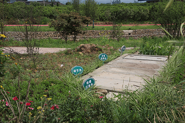 眉山丹棱：全域治污水 建设人水和谐美丽乡村_fororder_龙滩社区散户“3+1”模式污水治理设施-摄影-李霞