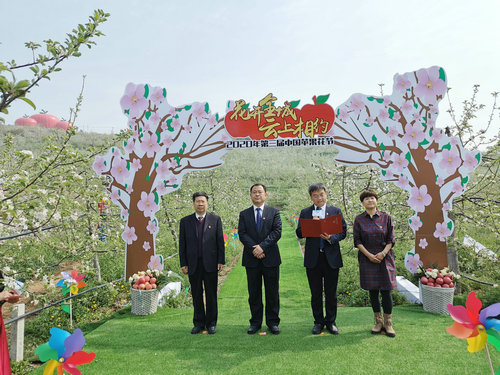 OK【河南供稿】河南靈寶：2020年第三屆中國蘋果花節開幕