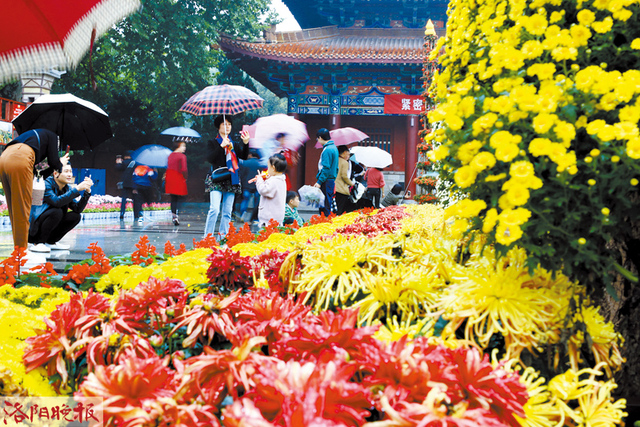 “十一”长假 王城金秋菊展吸引游客约23.45万人次