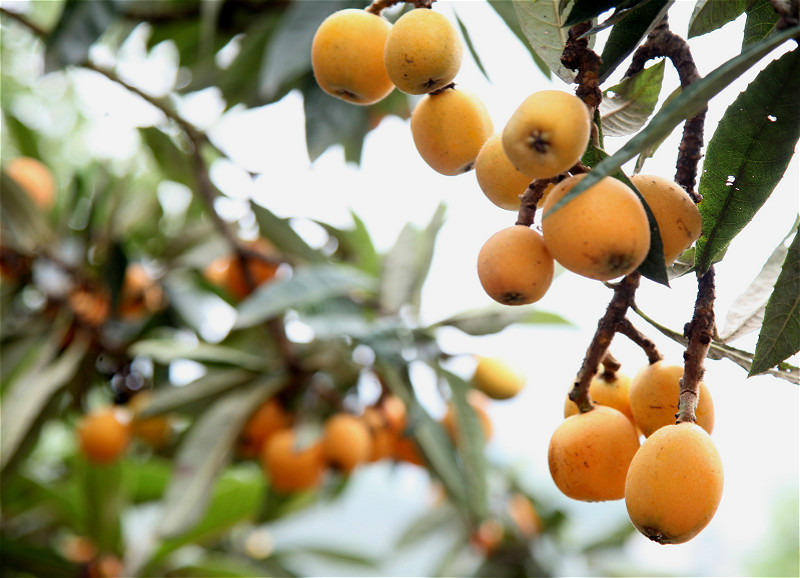 图片默认标题_fororder_548052570674190214_meitu_2