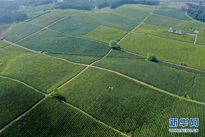 图片默认标题_fororder_1