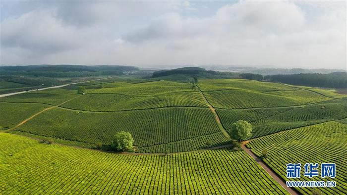 图片默认标题_fororder_2