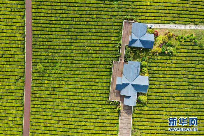 图片默认标题_fororder_5