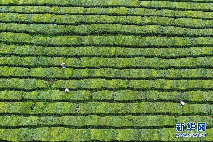 图片默认标题_fororder_3