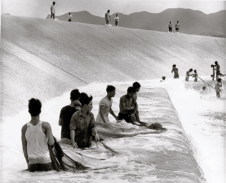 是他们，打通了香港水源的“生命线”